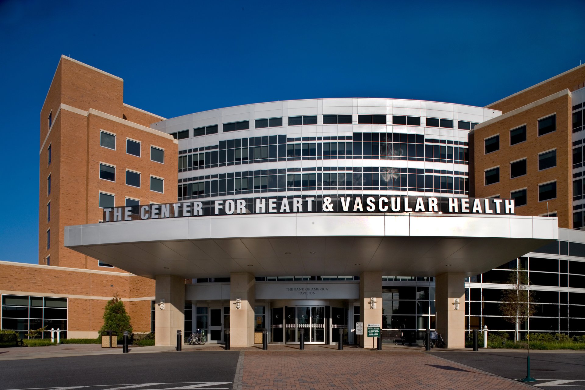 Minimally Invasive Procedures in Heart & Vascular Care Speed Recovery and Improve Outcomes