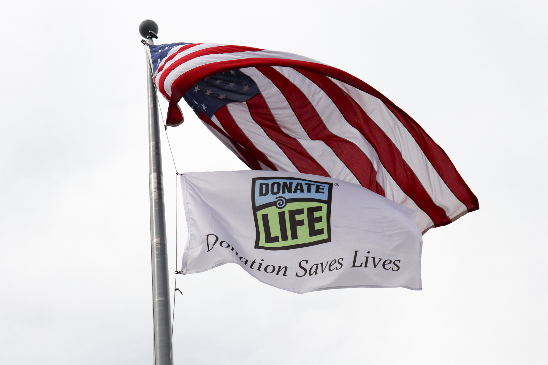 Celebrating a Second Chance at Life