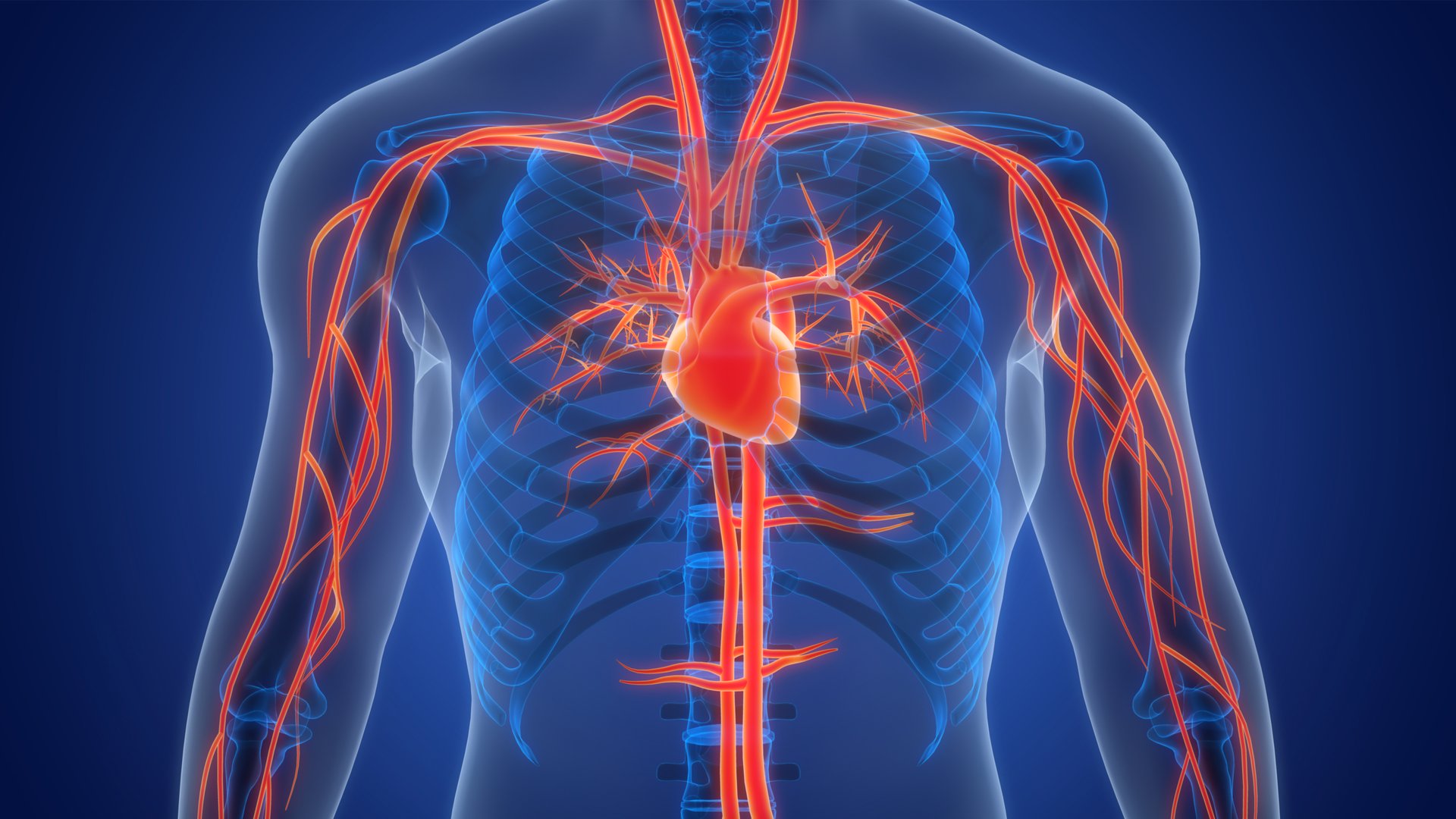 Three Major Studies May Shift Care for A-Fib, Heart Attack and Pulmonary Embolism