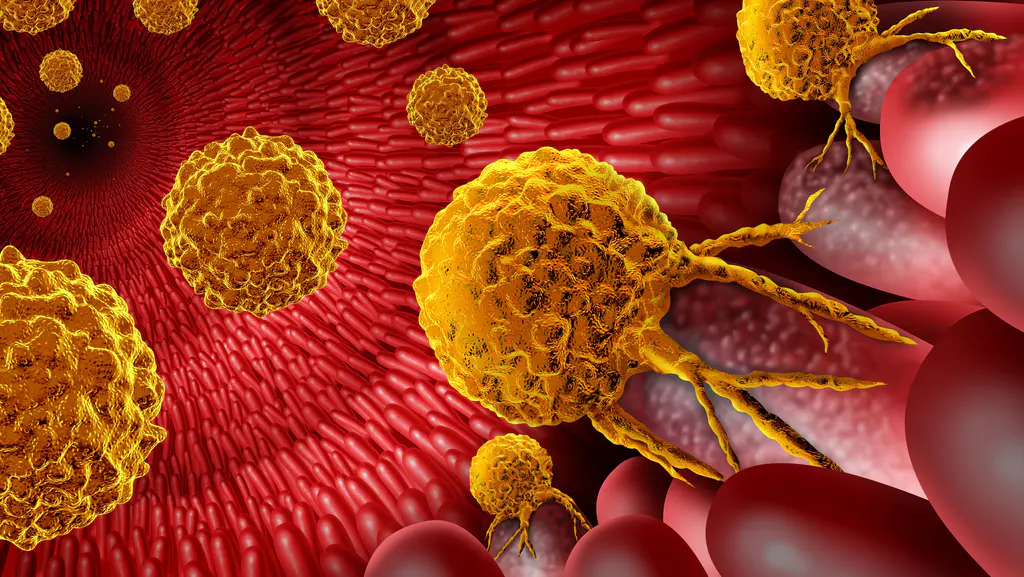Researchers at ChristianaCare and University of Delaware Reveal How a Common Gene Mutation Disrupts Colon Tissue Renewal and Sparks Early Tumor Growth