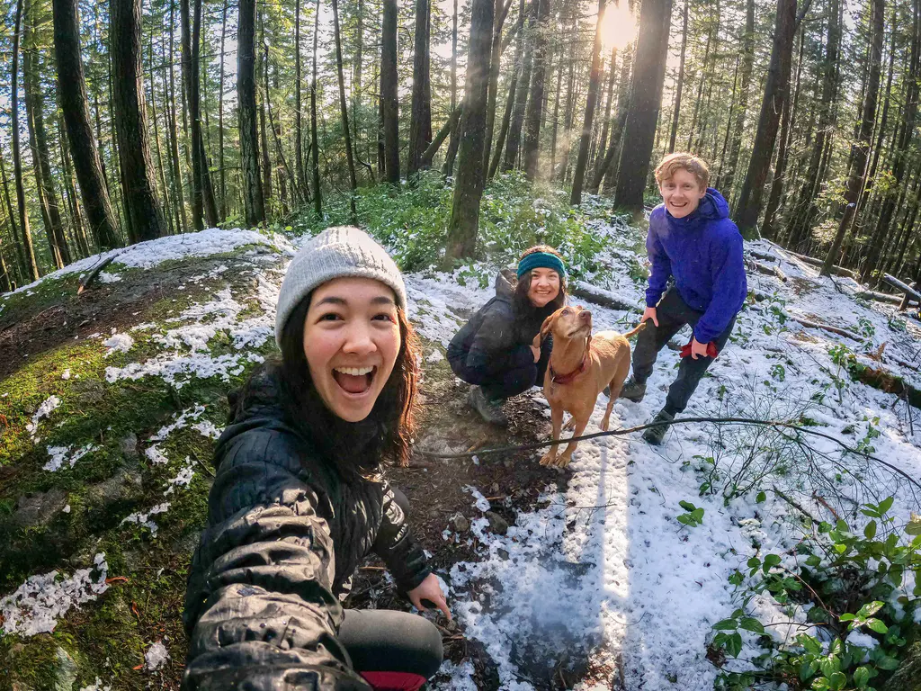 Defeat Seasonal Affective Disorder and Let the Light In 