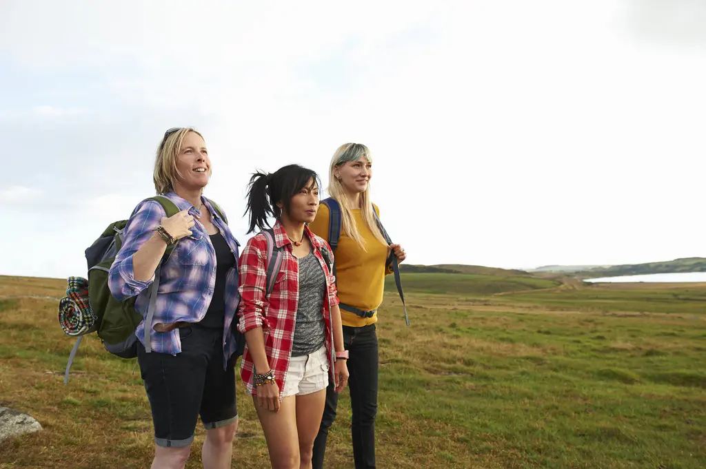 New Trends and Treatments in Menopause Care