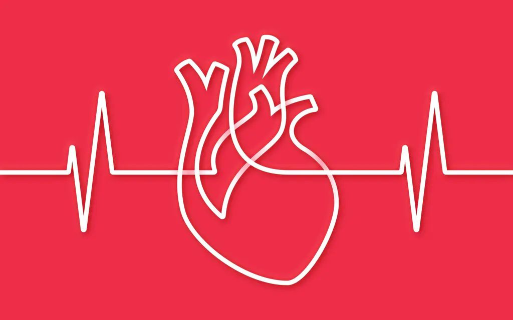 Embracing Healthy Hearts with a Little TLC