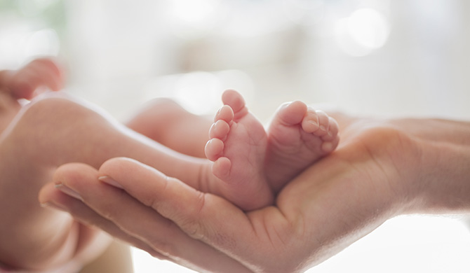 Baby's feet in hand
