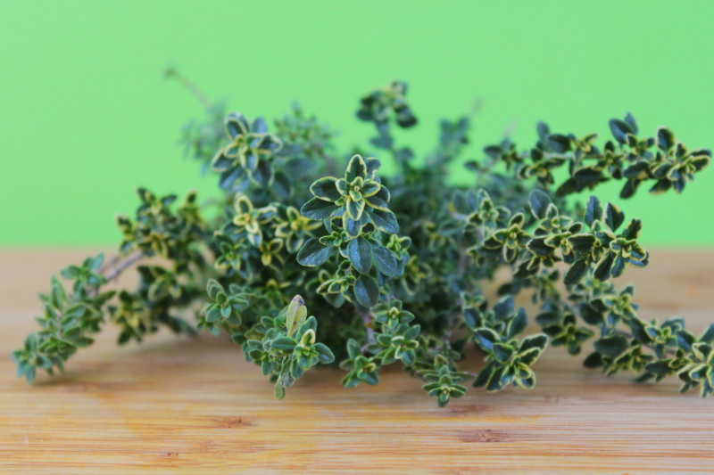 Thyme